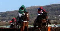 Zarib earmarked as Winter warmer