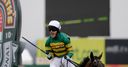 McCoy not planning Festival goodbye