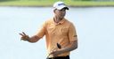 WATCH! Berger's albatross