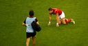 Williams boost for Wales