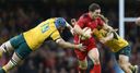 Howley: North may be back on wing