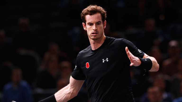 Andy Murray is likely to face David Goffin again in the Davis Cup final