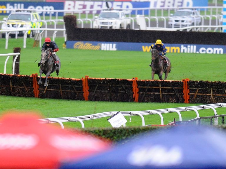 Sporting life horse racing selections for today