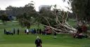 Farmers success for Snedeker