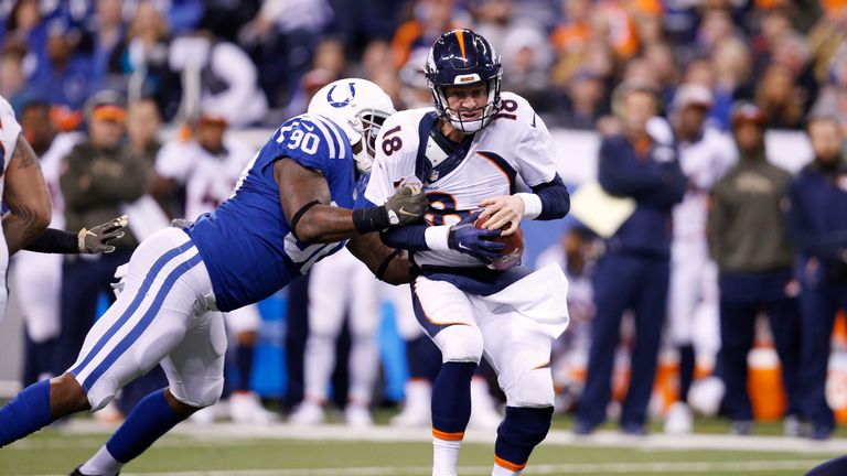 colts of glory colts of glory