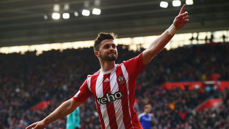 Shane Long celebrates scoring the game's opener