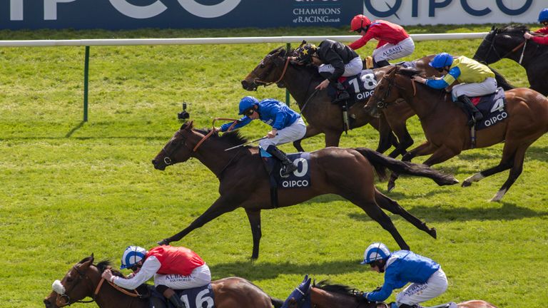 Jungle Cat was second in the race last year