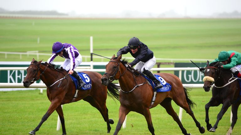 Rhododendron: Will run in Lockinge