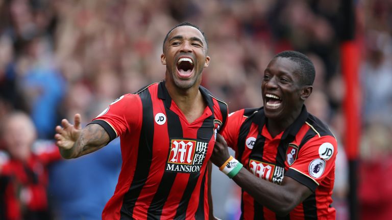 Callum Wilson has scored five goals in 16 appearances this season