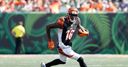WATCH: Who Dey?