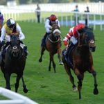 'Road goes the Distance at Ascot