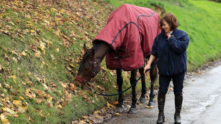 Coneygree: Expected to bounce back after wind operation
