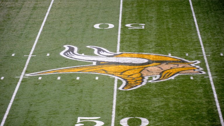 The Minnesota Vikings