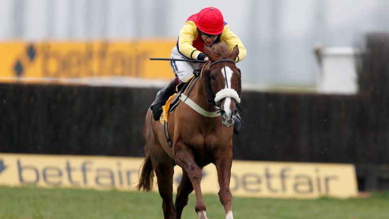 Native River ran well in the Cheltenham Gold Cup