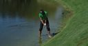 WATCH: Stenson's water shocker!