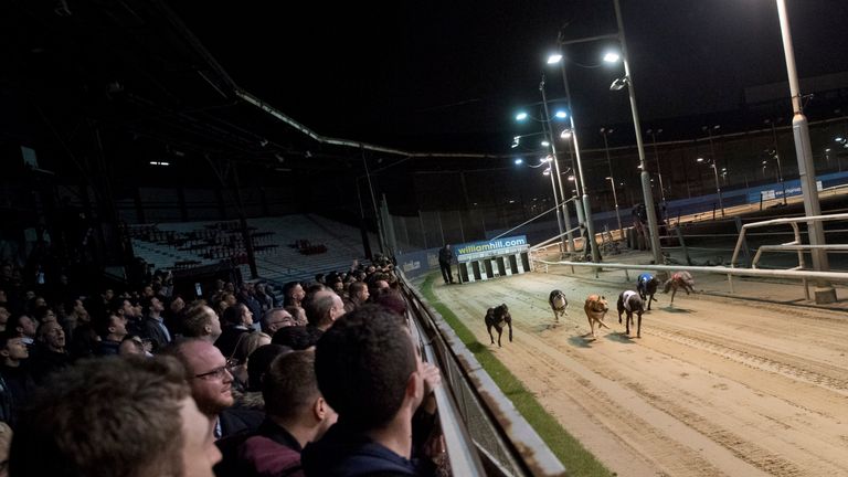Racegoers will have no greyhound racing in London once Wimbledon closes
