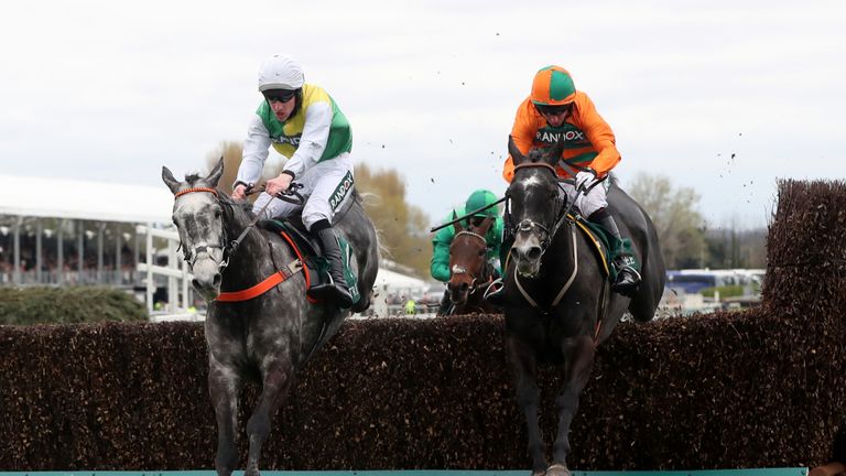 Cloudy Dream (left): Could still run at Cheltenham