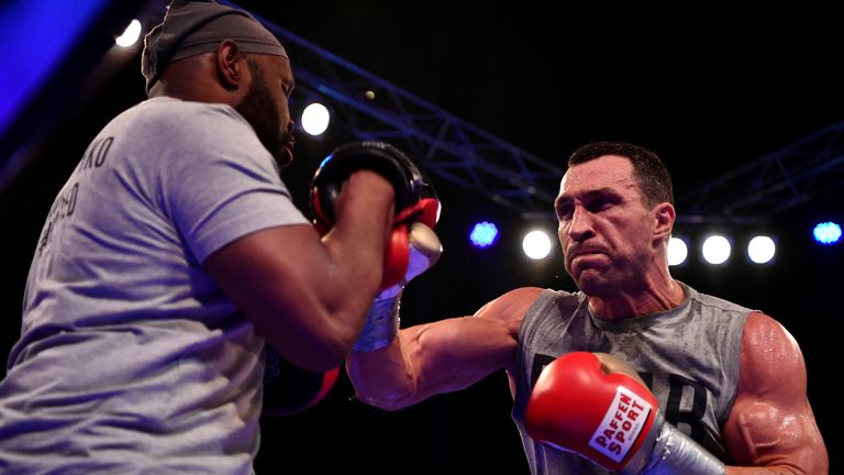 Johnny Nelson believes recently retired Wladimir Klitschko would adapt to the UFC