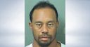 Woods was 'asleep at wheel'