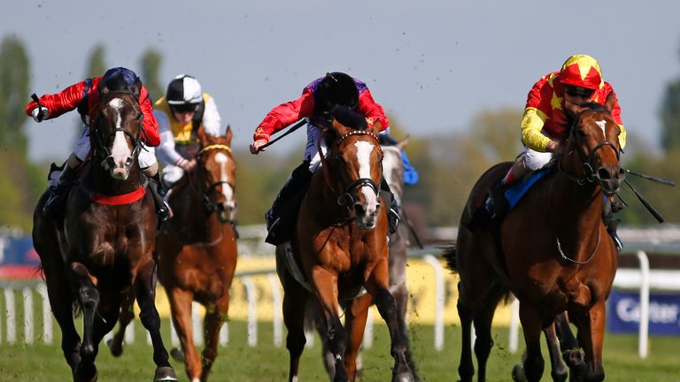 Call To Mind (c) wins the Dubai Duty Free Tennis Championships Maiden Stakes