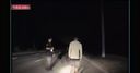 WATCH: Tiger Woods arrest video