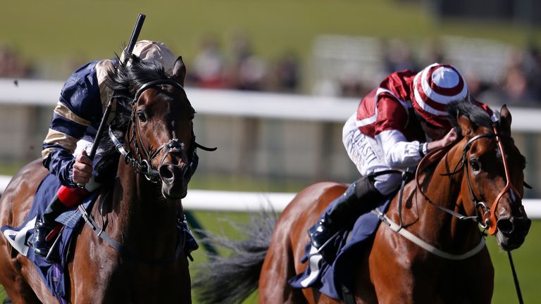 Salouen (right): Entered in Lingfield feature