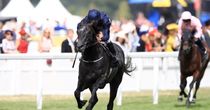 Caravaggio stars at Ascot
