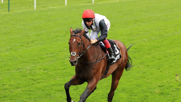 Enable can show adaptability at Prix de l'Arc de Triomphe Enable can show adaptability at Prix de l'Arc de Triomphe