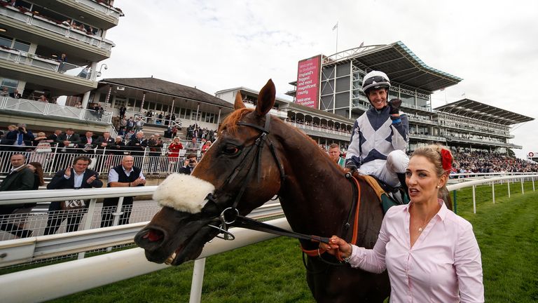 Ulysses could be lined up for a crack at the Breeders' Cup