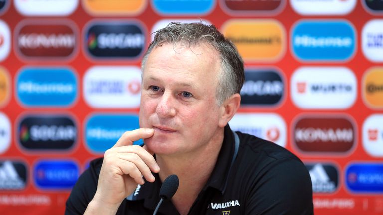 Michael O'Neill led Northern Ireland to Euro 2016