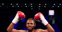 'Spider' gets British title shot