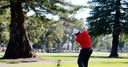 WATCH: Mickelson tree magic!