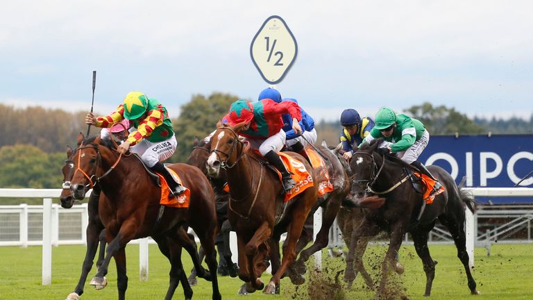 Danehill Kodiac: Chasing big pay day in Hong Kong