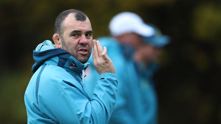 Michael Cheika led Australia to the 2015 World Cup final