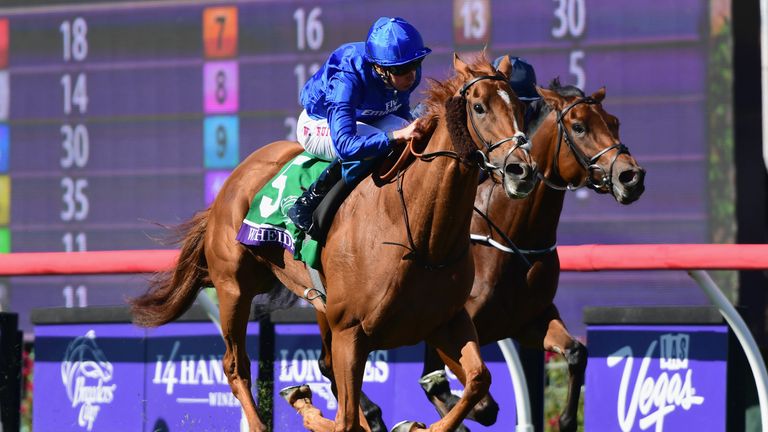 Wuheida: Retired after suffering injury