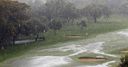 Joburg heads to Monday finish
