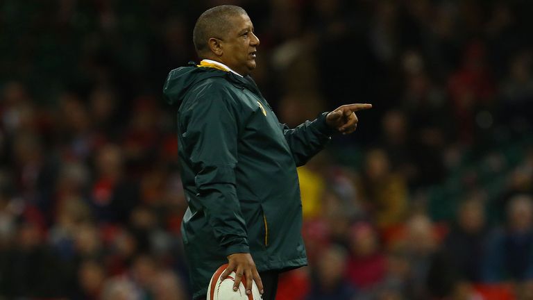 Allister Coetzee insists the future is bright for the Springboks