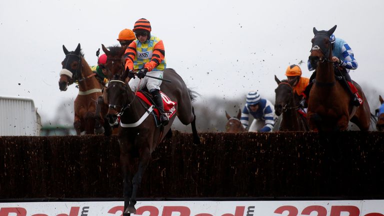 Might Bite: Tops field of 18 for Timico Cheltenham Gold Cup