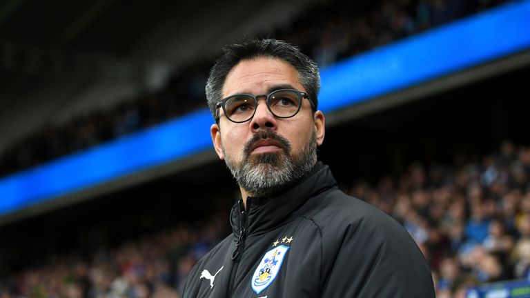 Terriers boss David Wagner was frustrated by the lengthy VAR process