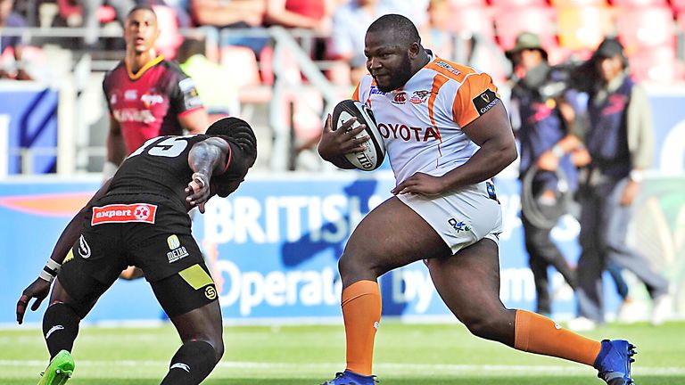 The Cheetahs have assimilated well in Europe since making the PRO14 their domestic competition