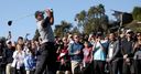 Wayward Woods opens with 72