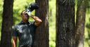 Butch: Tiger hung in there