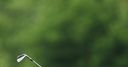 BMW International Open leaderboard