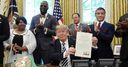 Trump pardon for Jack Johnson