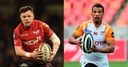 Scarlets v Cheetahs preview