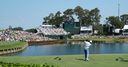 Rookies guide to Sawgrass