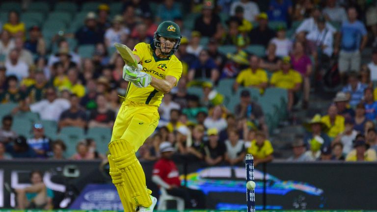 Tim Paine has become an integral member of the Australia Test and one-day squads
