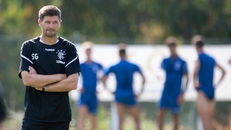 Steven Gerrard is looking for a replacement for Bruno Alves