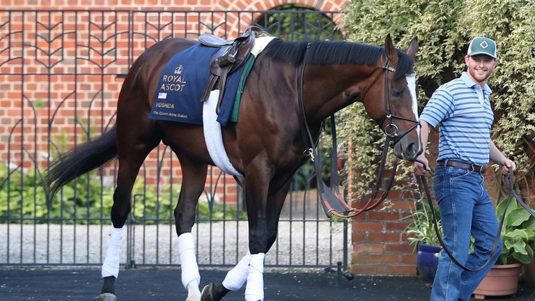 Yoshida continues his Royal Ascot preparations