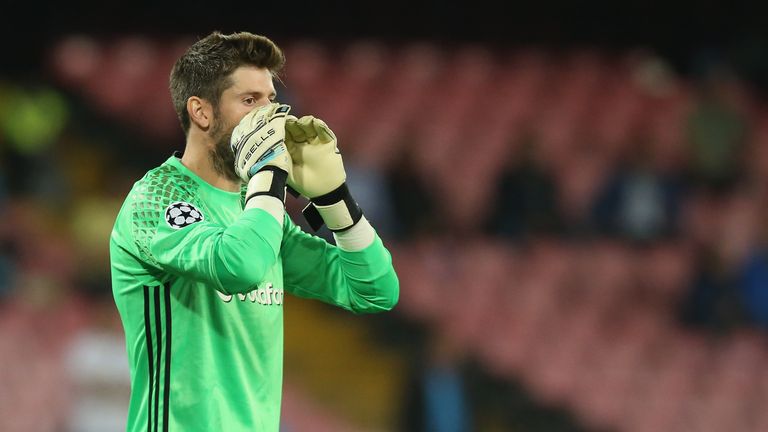 Fulham also signed goalkeeper Fabri from Besiktas earlier this summer